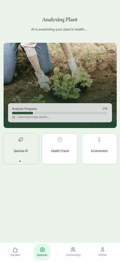 Plant Care Feature 3