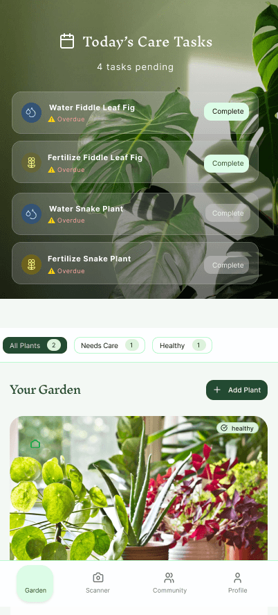 Plant Care Feature 4